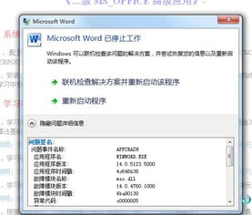 如何解决 Microsoft Office Word 已停止工作的问题：常见原因及解决方案全解析