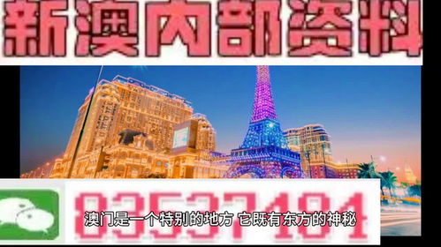 新澳内部资料精准大全1|探寻历史背后的秘密与故事_进修版.9.188