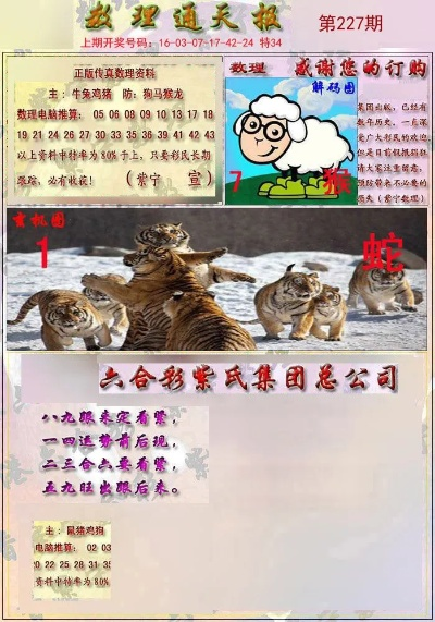 2024今晚必中四不像图1|最新分析解释落实_NE版.3.631