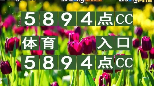 六叔公心水资料大全|轻松玩转生活小技巧_基础版.1.480