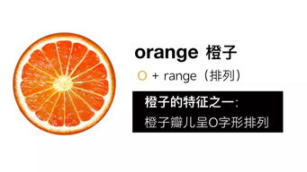 香港澳门开奖结果查询|动态词语解释落实_潜能版.9.140