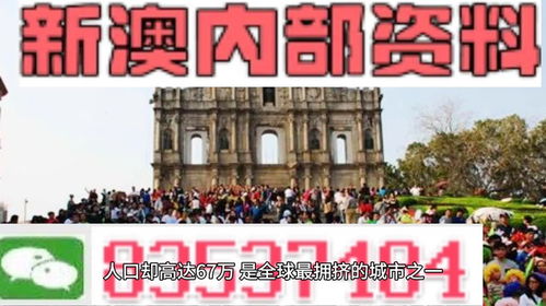 澳门正版精准免费|综合研究解释落实_连续集.7.555