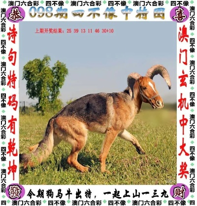 今晚新奥四不像图片|系统分析解释落实_定时款.3.924