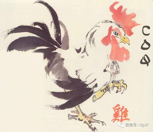 香港十二生肖精准资料|深入分析科技相关成语的内涵_Kindle.4.265