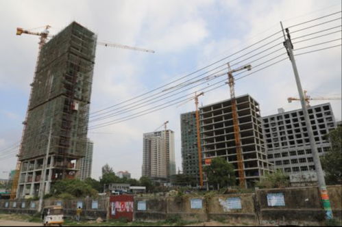 新澳门现场开奖直播视频下载|探索城市新魅力让旅行更精彩_清新集.4.507