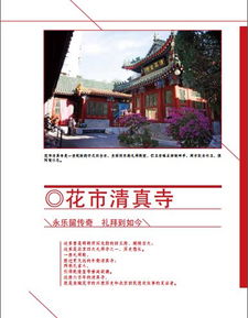 2023澳门六今晚开奖结果出来15期|发现未知世界的奇妙旅程_客户版.6.125