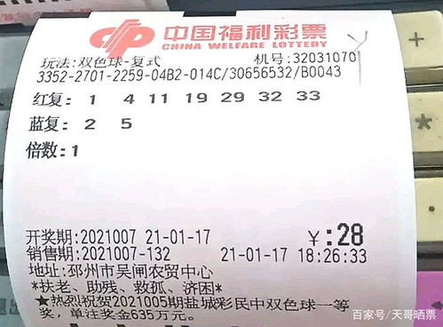 2024香港二四六天天双色球诗|广泛的解释落实支持计划_XP款.6.281